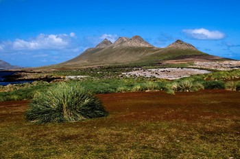 Пейзаж Фолклендских островов